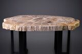 Gorgeous Indonesian Petrified Wood Table - Excellent Wood Detail #264872-5